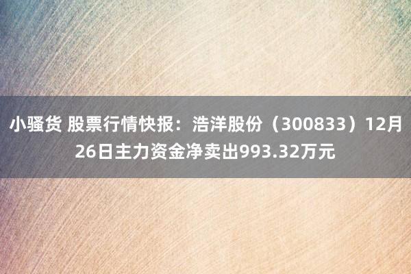 小骚货 股票行情快报：浩洋股份（300833）12月26日主力资金净卖出993.32万元