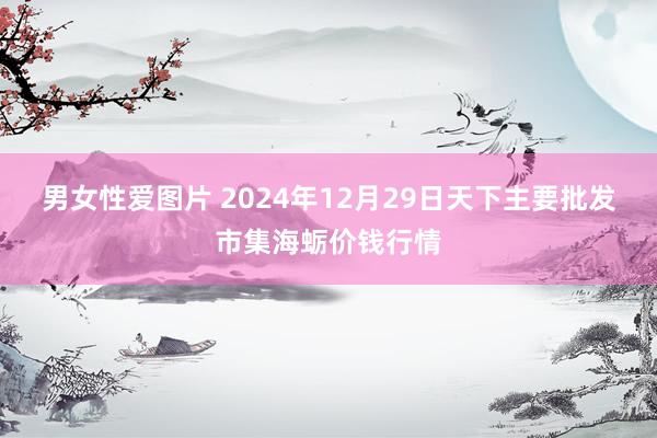 男女性爱图片 2024年12月29日天下主要批发市集海蛎价钱行情