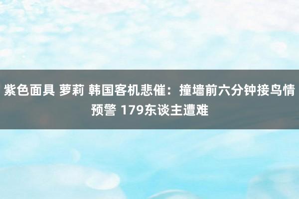 紫色面具 萝莉 韩国客机悲催：撞墙前六分钟接鸟情预警 179东谈主遭难