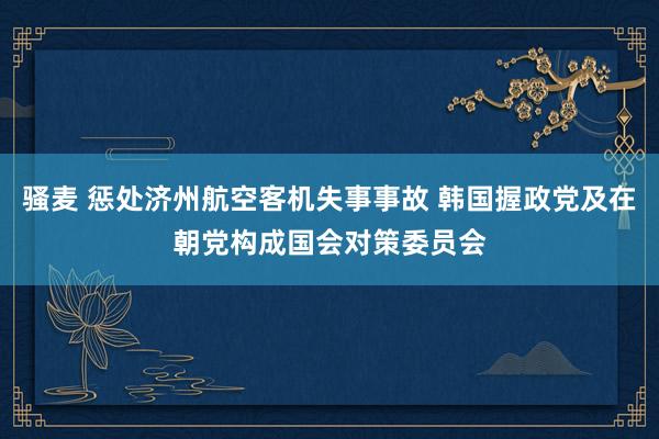 骚麦 惩处济州航空客机失事事故 韩国握政党及在朝党构成国会对策委员会