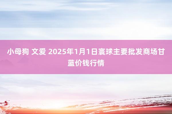 小母狗 文爱 2025年1月1日寰球主要批发商场甘蓝价钱行情