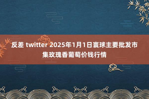 反差 twitter 2025年1月1日寰球主要批发市集玫瑰香葡萄价钱行情