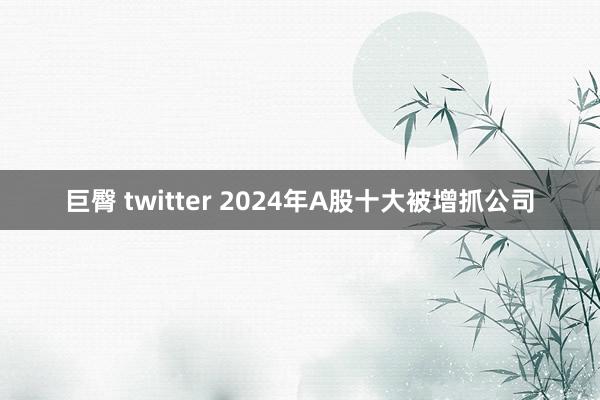 巨臀 twitter 2024年A股十大被增抓公司