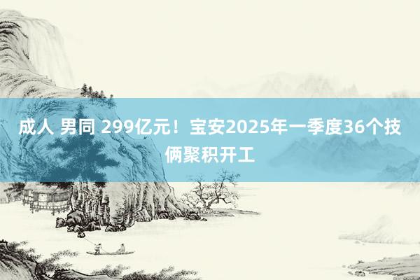 成人 男同 299亿元！宝安2025年一季度36个技俩聚积开工