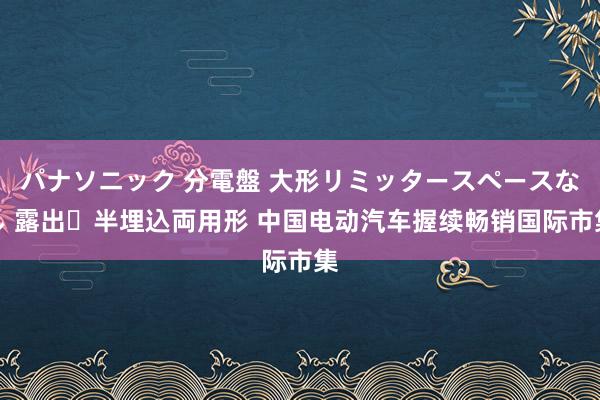 パナソニック 分電盤 大形リミッタースペースなし 露出・半埋込両用形 中国电动汽车握续畅销国际市集