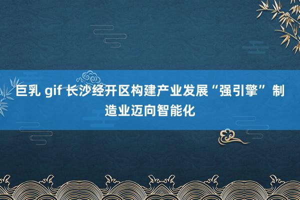 巨乳 gif 长沙经开区构建产业发展“强引擎” 制造业迈向智能化