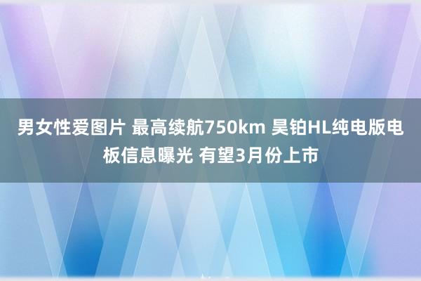 男女性爱图片 最高续航750km 昊铂HL纯电版电板信息曝光 有望3月份上市