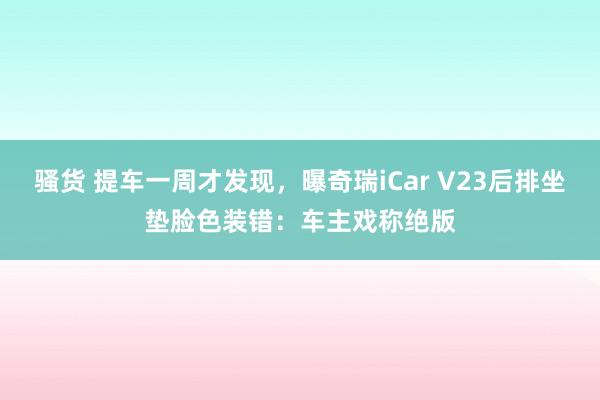 骚货 提车一周才发现，曝奇瑞iCar V23后排坐垫脸色装错：车主戏称绝版