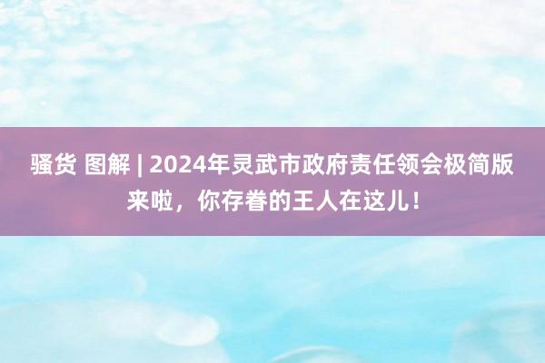 骚货 图解 | 2024年灵武市政府责任领会极简版来啦，你存眷的王人在这儿！