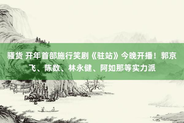 骚货 开年首部施行笑剧《驻站》今晚开播！郭京飞、陈数、林永健、阿如那等实力派