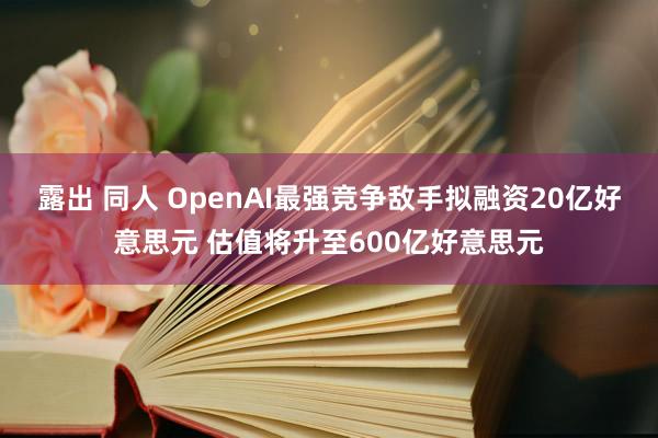 露出 同人 OpenAI最强竞争敌手拟融资20亿好意思元 估值将升至600亿好意思元