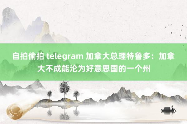 自拍偷拍 telegram 加拿大总理特鲁多：加拿大不成能沦为好意思国的一个州