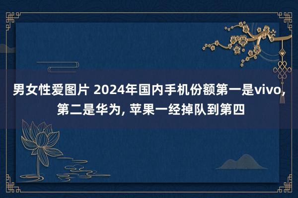 男女性爱图片 2024年国内手机份额第一是vivo， 第二是华为， 苹果一经掉队到第四