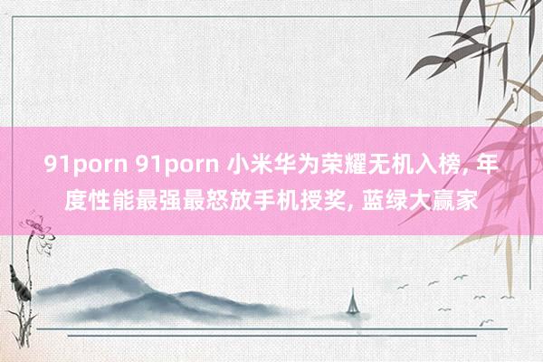 91porn 91porn 小米华为荣耀无机入榜， 年度性能最强最怒放手机授奖， 蓝绿大赢家