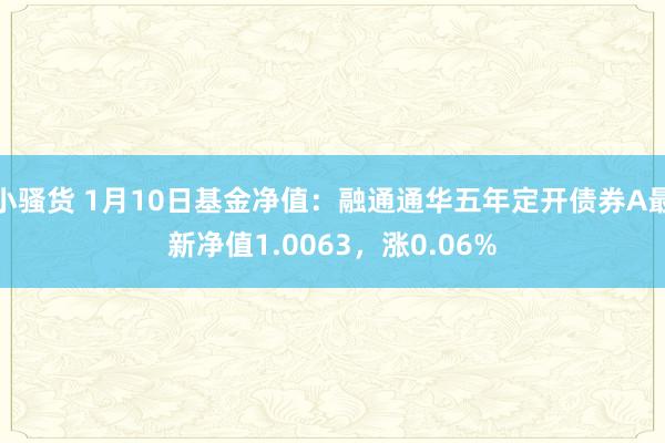 小骚货 1月10日基金净值：融通通华五年定开债券A最新净值1.0063，涨0.06%