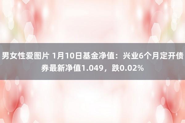 男女性爱图片 1月10日基金净值：兴业6个月定开债券最新净值1.049，跌0.02%