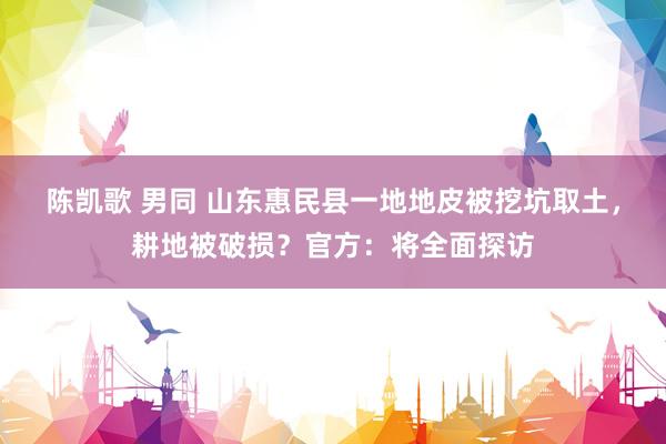 陈凯歌 男同 山东惠民县一地地皮被挖坑取土，耕地被破损？官方：将全面探访