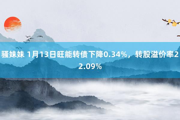 骚妹妹 1月13日旺能转债下降0.34%，转股溢价率22.09%