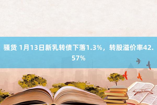 骚货 1月13日新乳转债下落1.3%，转股溢价率42.57%