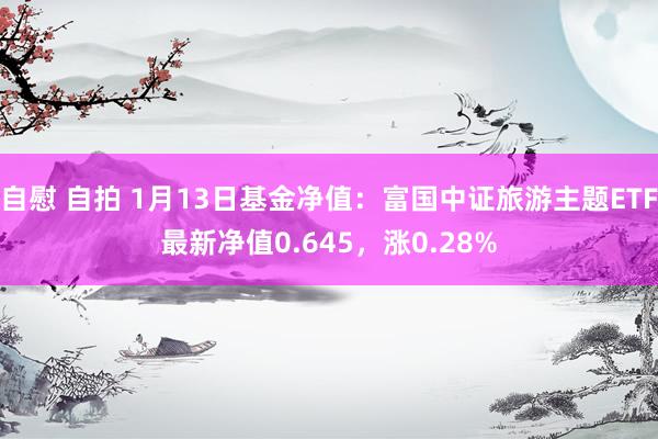 自慰 自拍 1月13日基金净值：富国中证旅游主题ETF最新净值0.645，涨0.28%