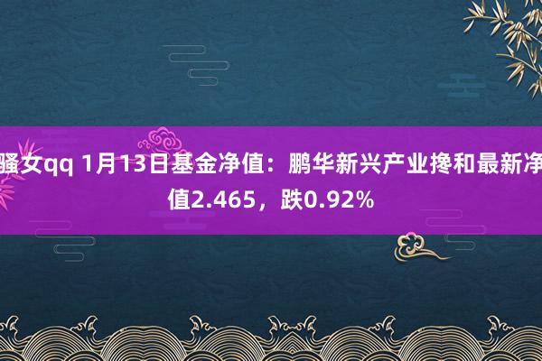 骚女qq 1月13日基金净值：鹏华新兴产业搀和最新净值2.465，跌0.92%