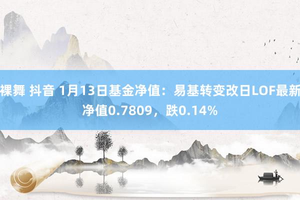 裸舞 抖音 1月13日基金净值：易基转变改日LOF最新净值0.7809，跌0.14%