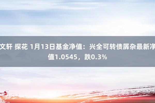 文轩 探花 1月13日基金净值：兴全可转债羼杂最新净值1.0545，跌0.3%