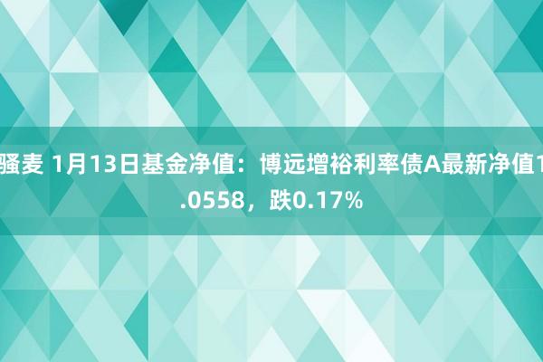 骚麦 1月13日基金净值：博远增裕利率债A最新净值1.0558，跌0.17%