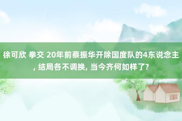 徐可欣 拳交 20年前蔡振华开除国度队的4东说念主， 结局各不调换， 当今齐何如样了?