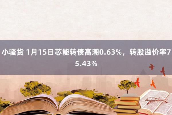 小骚货 1月15日芯能转债高潮0.63%，转股溢价率75.43%