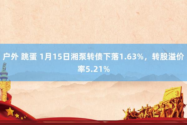 户外 跳蛋 1月15日湘泵转债下落1.63%，转股溢价率5.21%