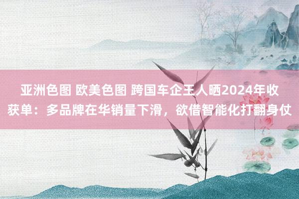 亚洲色图 欧美色图 跨国车企王人晒2024年收获单：多品牌在华销量下滑，欲借智能化打翻身仗