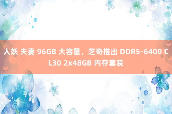 人妖 夫妻 96GB 大容量，芝奇推出 DDR5-6400 CL30 2x48GB 内存套装